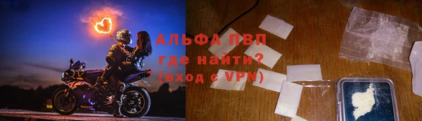 спиды Верея